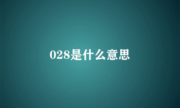 028是什么意思