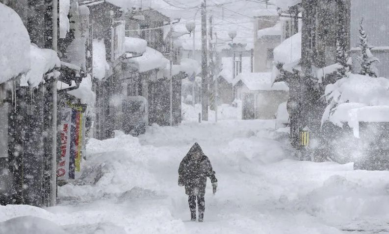 暴雪后部分地区蔬菜价格上涨近一倍，你如何看待这件事？