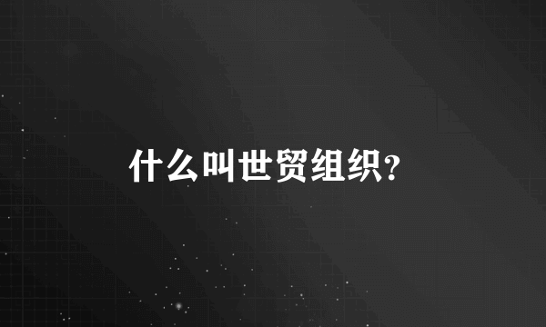 什么叫世贸组织？