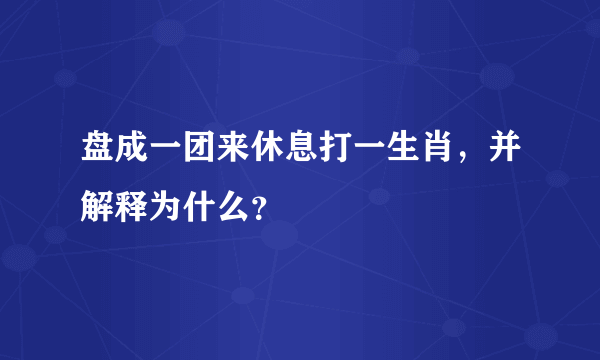 盘成一团来休息打一生肖，并解释为什么？