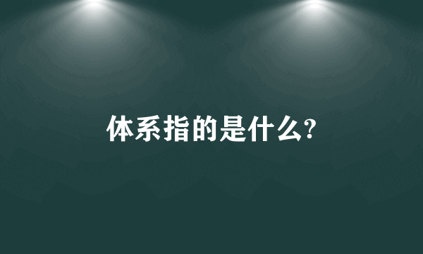 体系指的是什么?