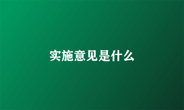 实施意见是什么