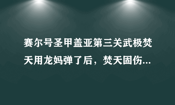 赛尔号圣甲盖亚第三关武极焚天用龙妈弹了后，焚天固伤高，49补不了刀