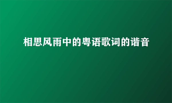 相思风雨中的粤语歌词的谐音