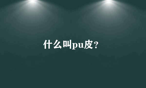 什么叫pu皮？