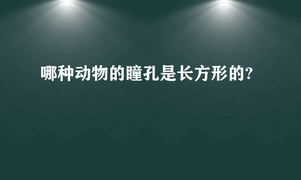 哪种动物的瞳孔是长方形的?