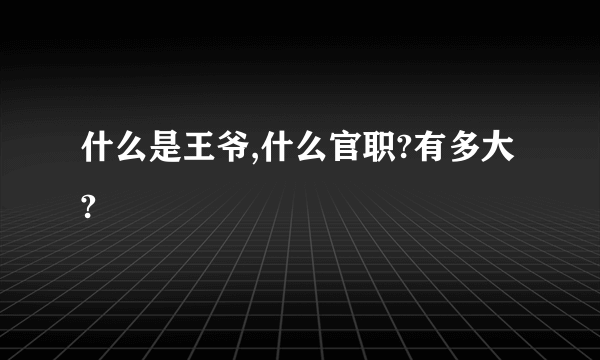 什么是王爷,什么官职?有多大?