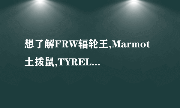 想了解FRW辐轮王,Marmot土拨鼠,TYRELL泰勒等全球十大变速自行车运动户外排行榜自行车价格报价