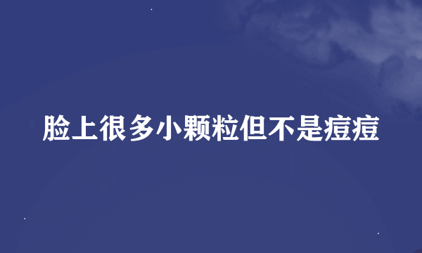 脸上很多小颗粒但不是痘痘