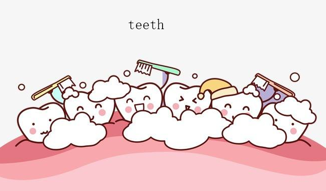 tooth（复数形式） 是什么