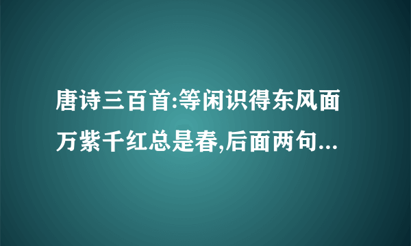 唐诗三百首:等闲识得东风面万紫千红总是春,后面两句是什么？