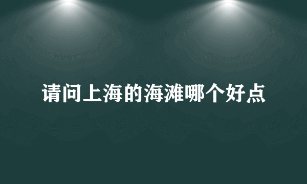 请问上海的海滩哪个好点