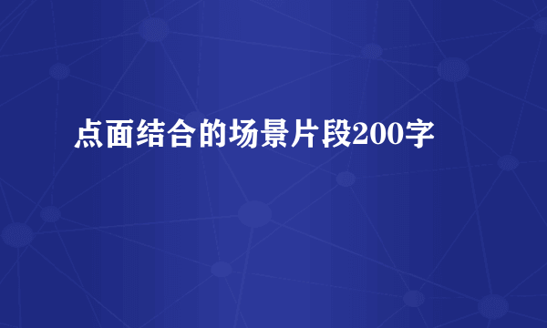 点面结合的场景片段200字