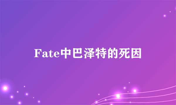 Fate中巴泽特的死因