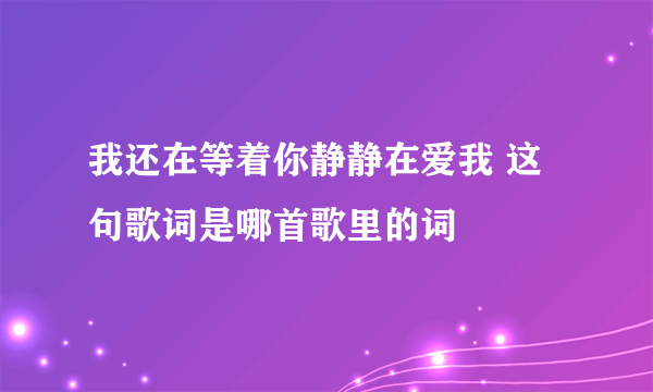 我还在等着你静静在爱我 这句歌词是哪首歌里的词