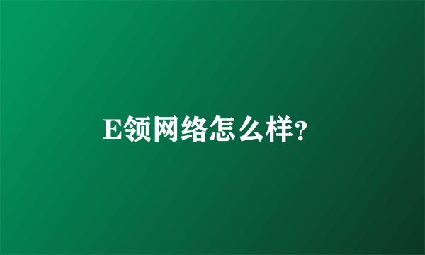 E领网络怎么样？