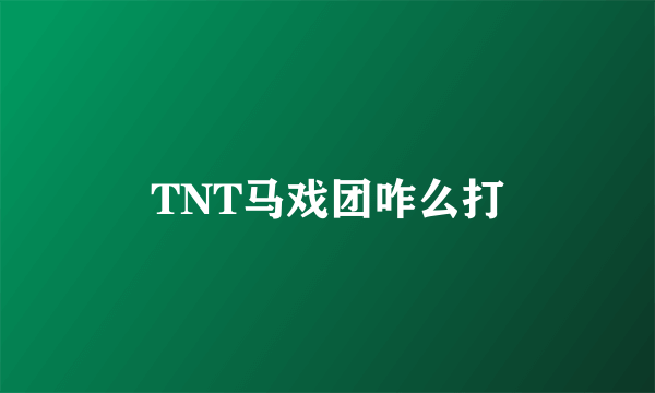 TNT马戏团咋么打