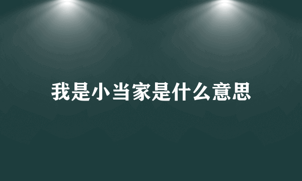 我是小当家是什么意思