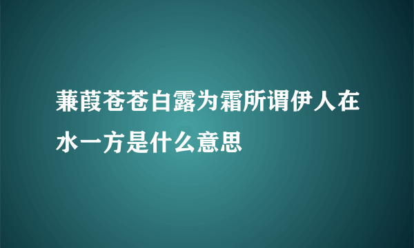 蒹葭苍苍白露为霜所谓伊人在水一方是什么意思