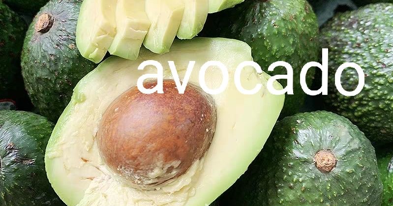 avocado是什么？