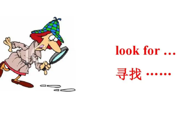 lookfor是什么意思