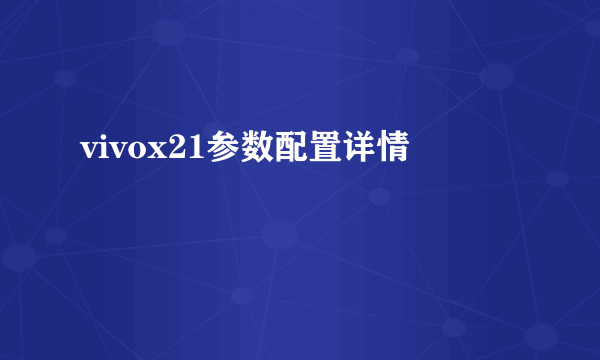 vivox21参数配置详情