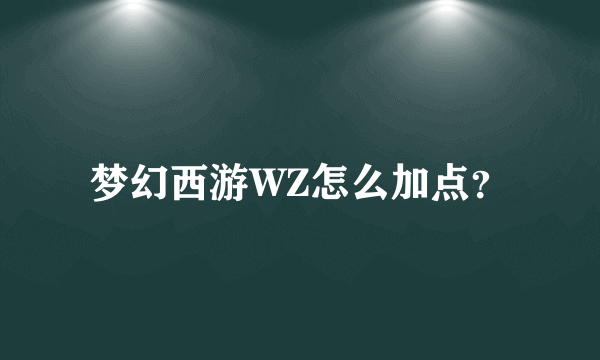 梦幻西游WZ怎么加点？