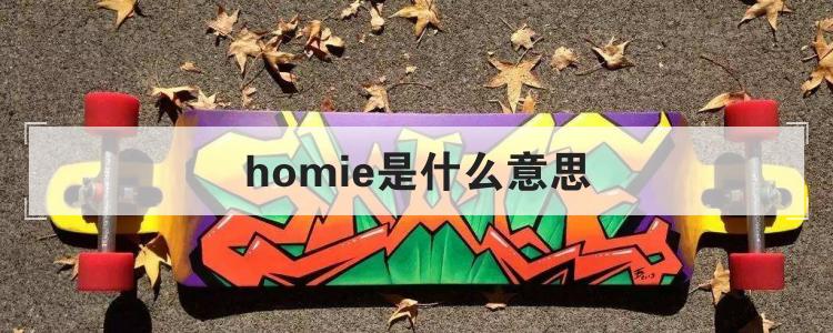 homie是什么意思