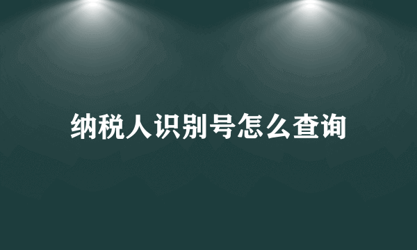 纳税人识别号怎么查询