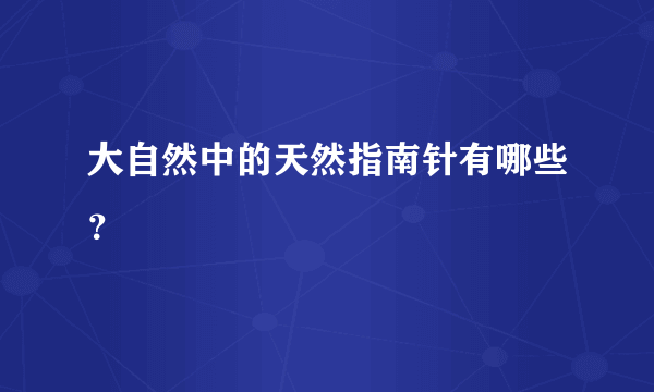 大自然中的天然指南针有哪些？