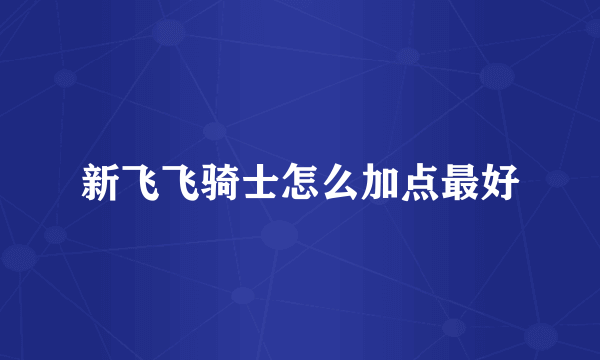 新飞飞骑士怎么加点最好