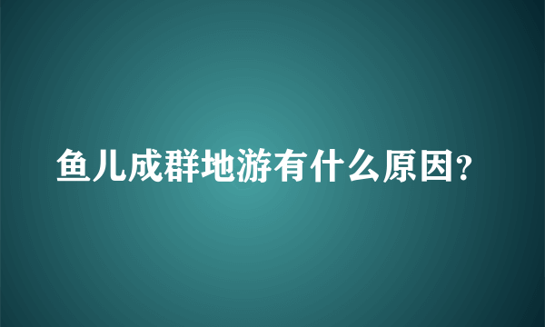 鱼儿成群地游有什么原因？