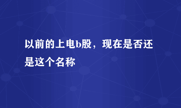 以前的上电b股，现在是否还是这个名称