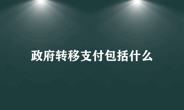 政府转移支付包括什么