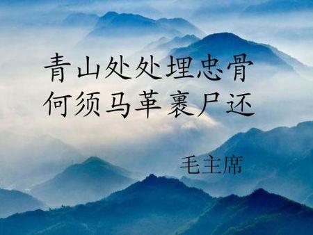 “青山处处埋忠骨”的全诗是什么？