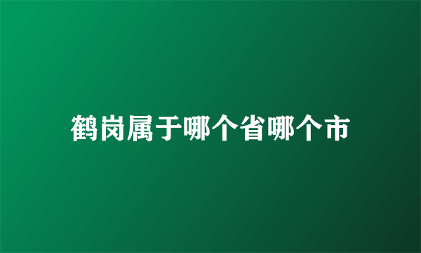 鹤岗属于哪个省哪个市