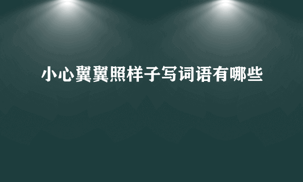 小心翼翼照样子写词语有哪些