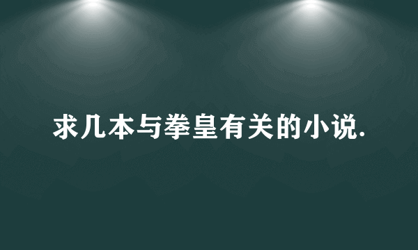 求几本与拳皇有关的小说.