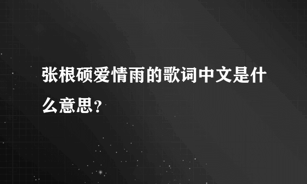 张根硕爱情雨的歌词中文是什么意思？