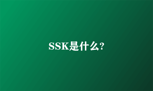 SSK是什么?