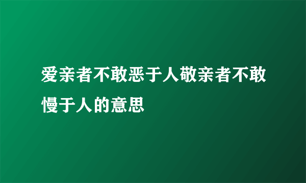 爱亲者不敢恶于人敬亲者不敢慢于人的意思