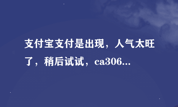 支付宝支付是出现，人气太旺了，稍后试试，ca306。这是怎么回事