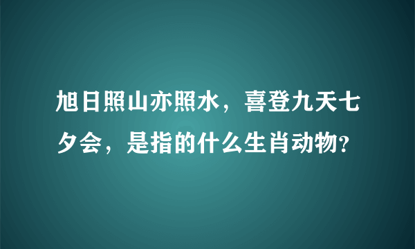 旭日照山亦照水，喜登九天七夕会，是指的什么生肖动物？