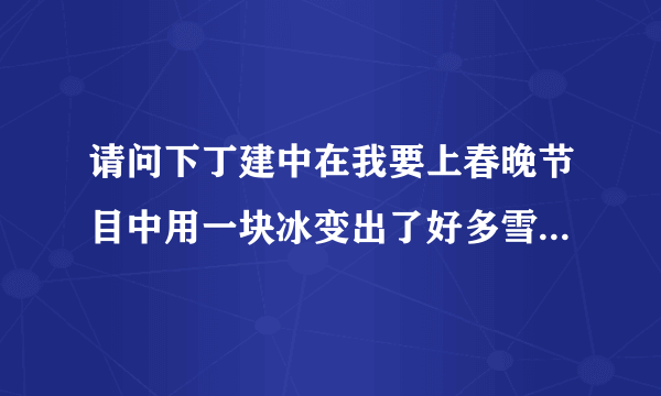 请问下丁建中在我要上春晚节目中用一块冰变出了好多雪花的魔术是什么变的呀