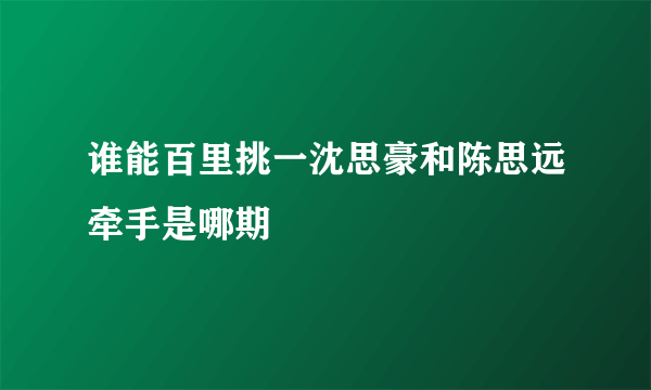 谁能百里挑一沈思豪和陈思远牵手是哪期