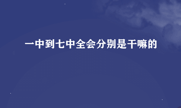 一中到七中全会分别是干嘛的