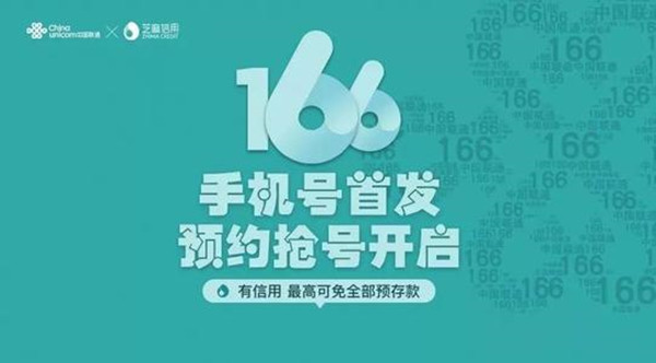 166号码是哪的