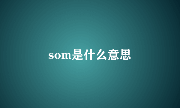 som是什么意思