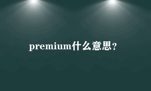 premium什么意思？