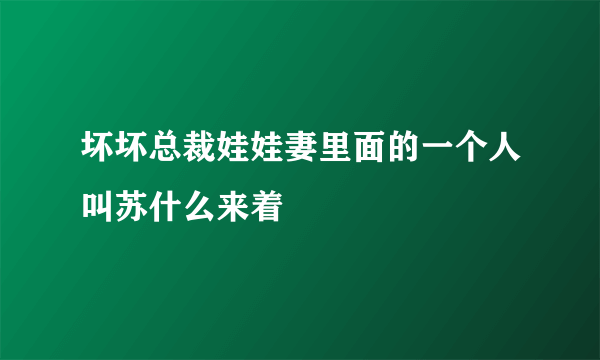 坏坏总裁娃娃妻里面的一个人叫苏什么来着